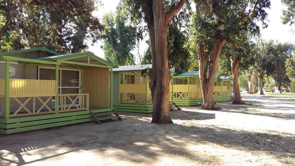 Le Camping De La Plage Aregno المظهر الخارجي الصورة